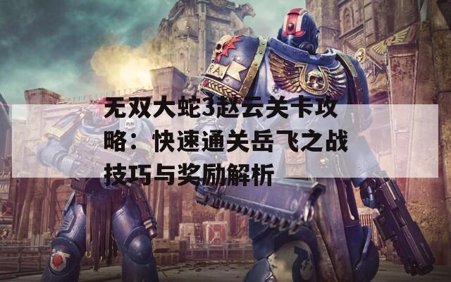 无双大蛇3赵云关卡攻略：快速通关岳飞之战技巧与奖励解析