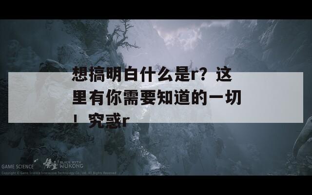 想搞明白什么是r？这里有你需要知道的一切！究惑r