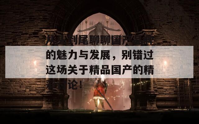 从头到尾聊聊国产品牌的魅力与发展，别错过这场关于精品国产的精彩讨论！