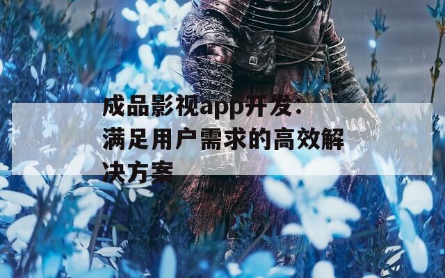 成品影视app开发：满足用户需求的高效解决方案