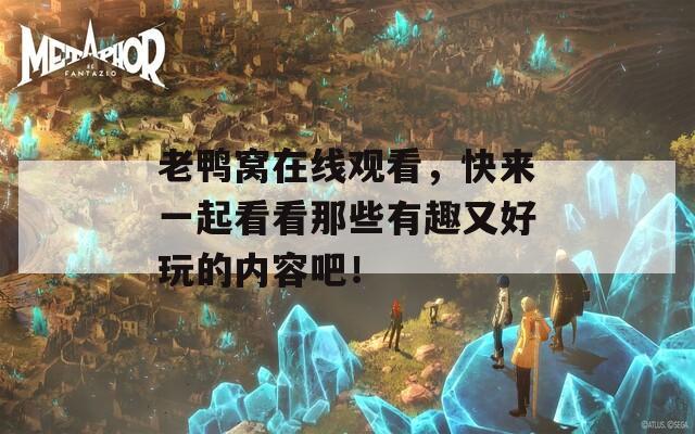 老鸭窝在线观看，快来一起看看那些有趣又好玩的内容吧！