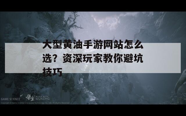 大型黄油手游网站怎么选？资深玩家教你避坑技巧