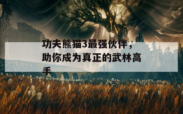 功夫熊猫3最强伙伴，助你成为真正的武林高手