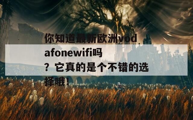 你知道最新欧洲vodafonewifi吗？它真的是个不错的选择哦！