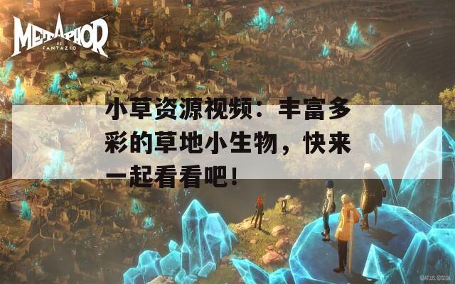 小草资源视频：丰富多彩的草地小生物，快来一起看看吧！