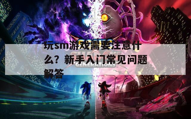 玩sm游戏需要注意什么？新手入门常见问题解答