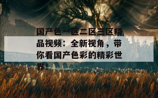 国产色一区二区三区精品视频：全新视角，带你看国产色彩的精彩世界！