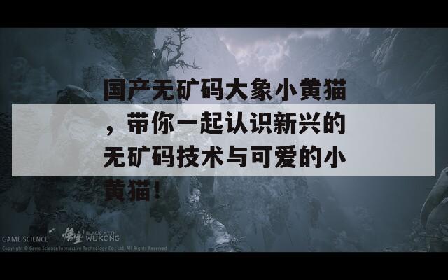 国产无矿码大象小黄猫，带你一起认识新兴的无矿码技术与可爱的小黄猫！