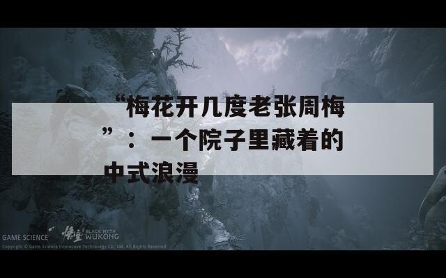 “梅花开几度老张周梅”：一个院子里藏着的中式浪漫