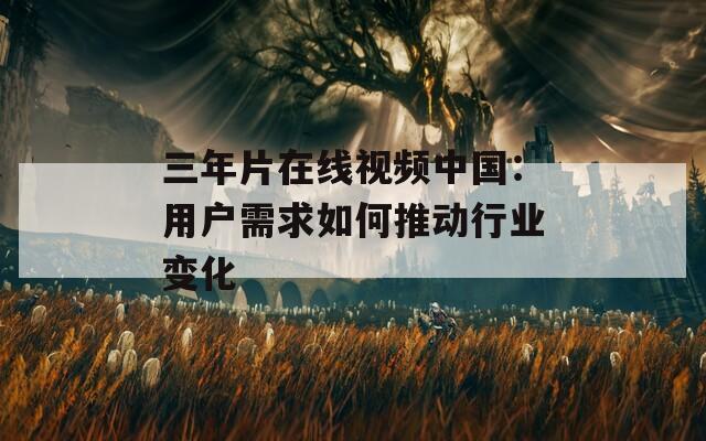 三年片在线视频中国：用户需求如何推动行业变化