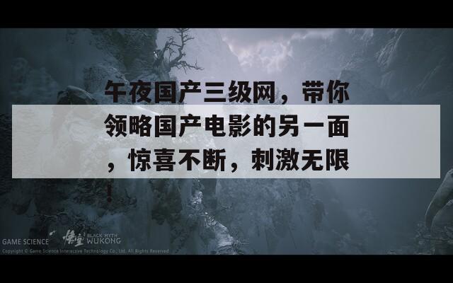 午夜国产三级网，带你领略国产电影的另一面，惊喜不断，刺激无限！