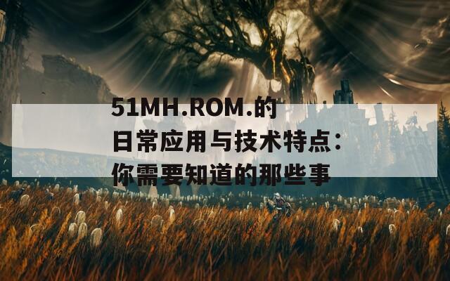 51MH.ROM.的日常应用与技术特点：你需要知道的那些事