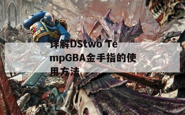 详解DStwo TempGBA金手指的使用方法