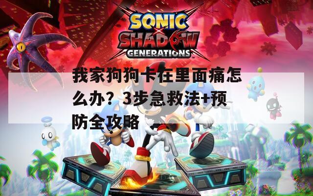 我家狗狗卡在里面痛怎么办？3步急救法+预防全攻略