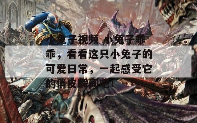 小兔子视频 小兔子乖乖，看看这只小兔子的可爱日常，一起感受它的俏皮瞬间吧！