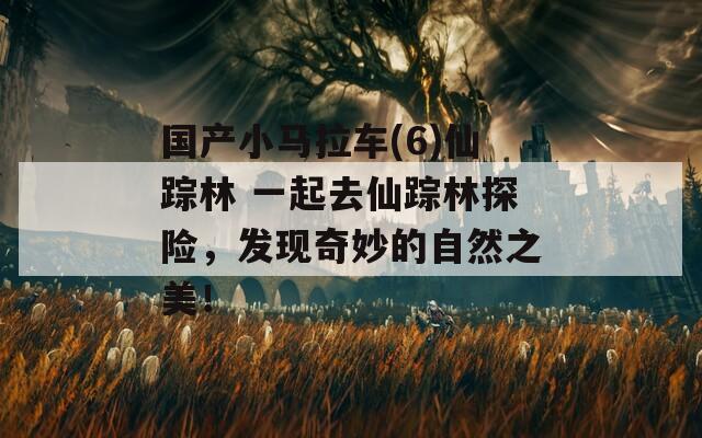 国产小马拉车(6)仙踪林 一起去仙踪林探险，发现奇妙的自然之美！