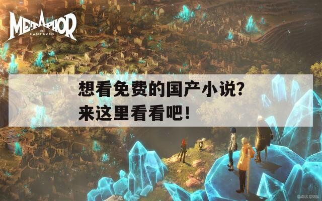 想看免费的国产小说？来这里看看吧！
