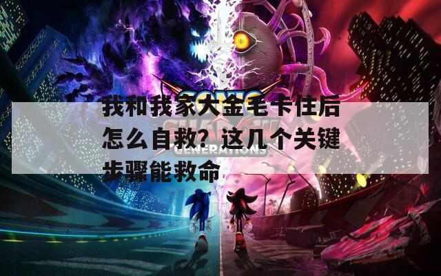 我和我家大金毛卡住后怎么自救？这几个关键步骤能救命