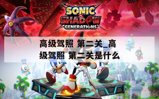 高级驾照 第二关_高级驾照 第二关是什么