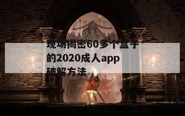 现场揭密60多个盒子的2020成人app破解方法