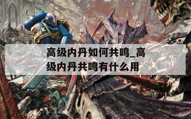 高级内丹如何共鸣_高级内丹共鸣有什么用