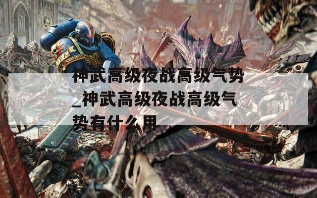 神武高级夜战高级气势_神武高级夜战高级气势有什么用