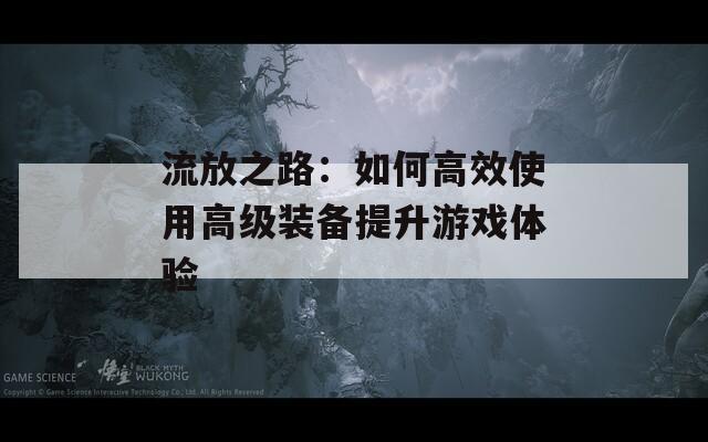 流放之路：如何高效使用高级装备提升游戏体验