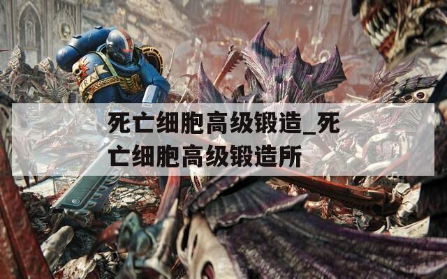 死亡细胞高级锻造_死亡细胞高级锻造所