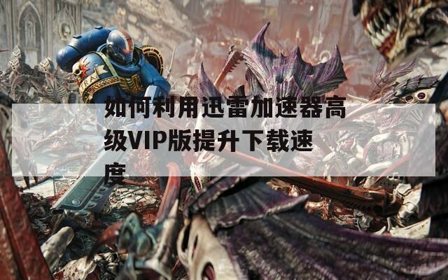如何利用迅雷加速器高级VIP版提升下载速度