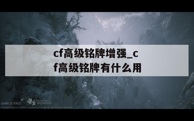 cf高级铭牌增强_cf高级铭牌有什么用